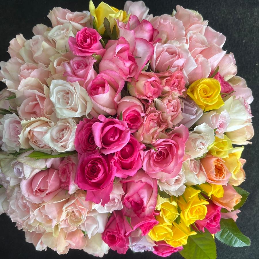 数量限定！！バラ・B品 （切り花・生花）30cm100本 規格外品・お得品