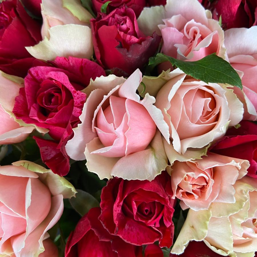赤とピンクの花束＊30cm100本 ラッピング込 還暦・プロポーズ・誕生日