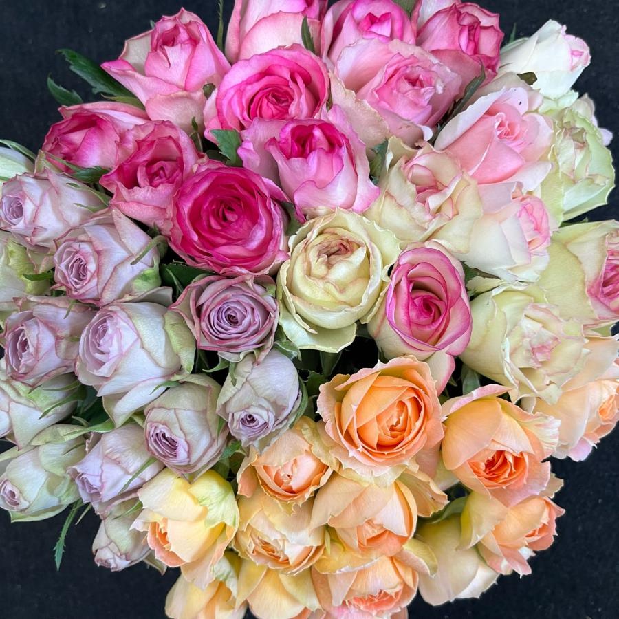 期間限定特価！　特大芸術写真 A2バラ 薔薇 ROSE 額付 70 X 79 鮮度抜群！！（バラ・切り花）おまかせMIX 30センチ 40本 農園