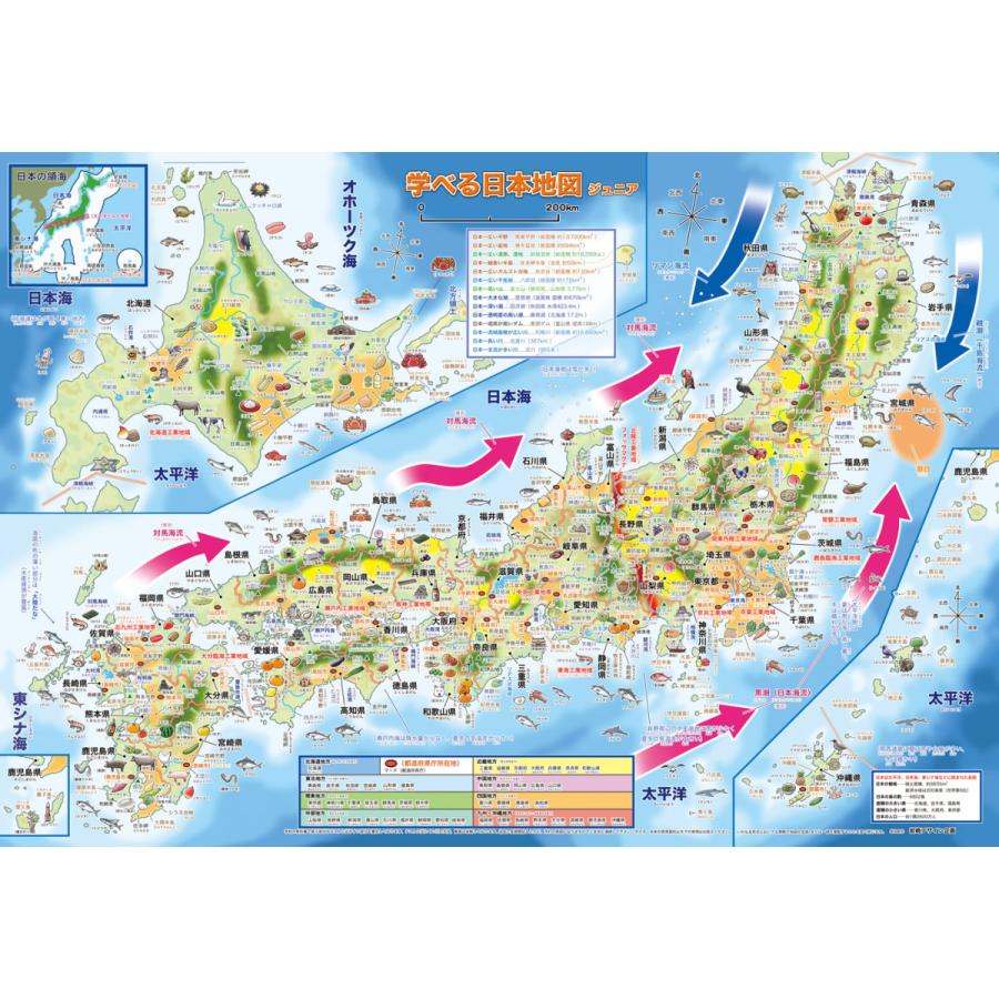 「学べる日本地図、世界地図ジュニア ２枚セット」【封筒発送】小学校、中学校の学習に合わせたお風呂ポスター、学習用地図 、A2サイズ｜rosennzuya2｜04