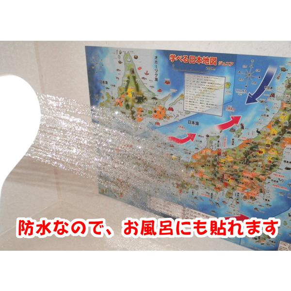 「学べる日本地図、世界地図ジュニア ２枚セット」【封筒発送】小学校、中学校の学習に合わせたお風呂ポスター、学習用地図 、A2サイズ｜rosennzuya2｜06