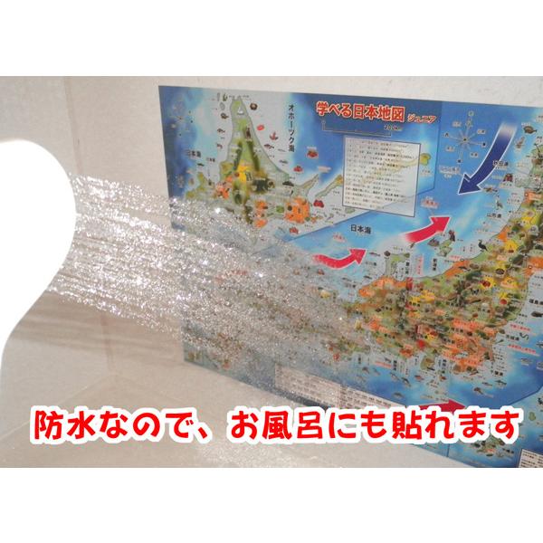 「学べる日本地図、世界地図ジュニア ２枚セット」【封筒発送】小学校、中学校の学習に合わせたお風呂ポスター、学習用地図 、A2サイズ |  | 05