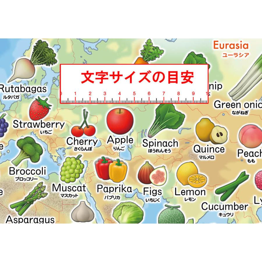 セットアップ 野菜とくだもので英語 ポスターケース発送 70種以上の野菜と果物の英語のお風呂ポスター 3歳 販売