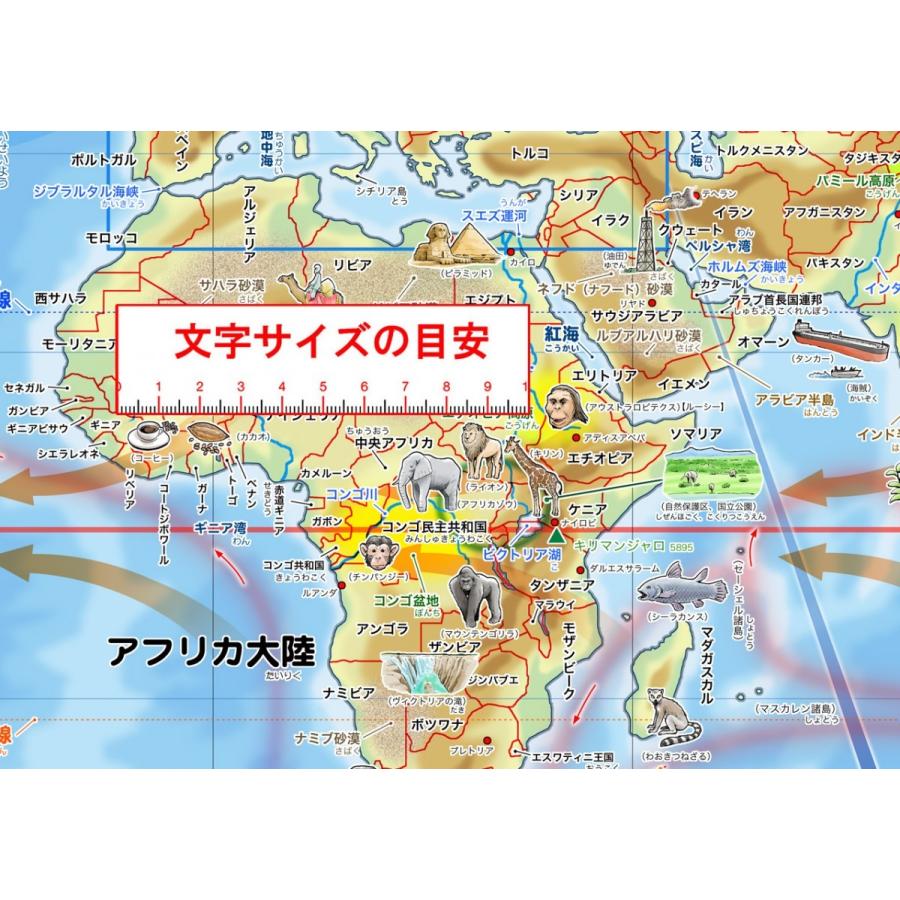 「学べる世界地図、学べる日本地図２枚セット」【ポスターケース発送】小学校、中学校の学習に合わせた、学習用地図 書いて消せるポスター 5歳〜｜rosennzuya2｜03