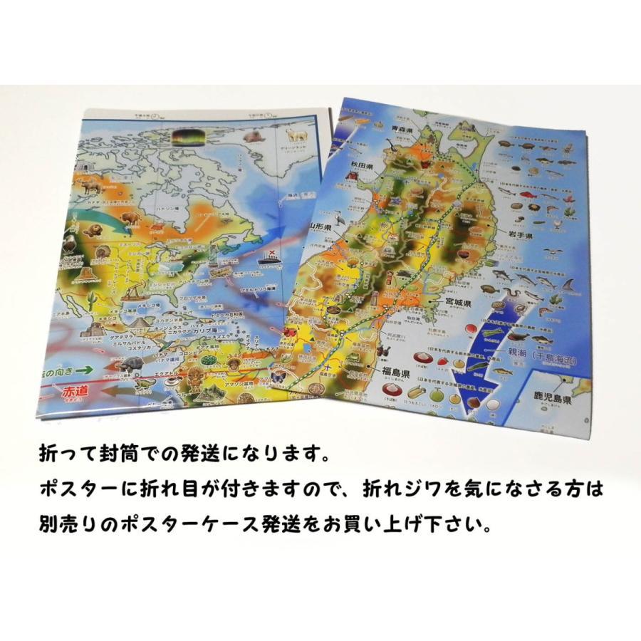 【中古】 インターネットがひらく総合的学習 全国発芽マップでケナフ物語/明治図書出版/中山迅 X-Knowledge | ［7］やさしく学ぶJw_cad敷地図・日影図・天空図編