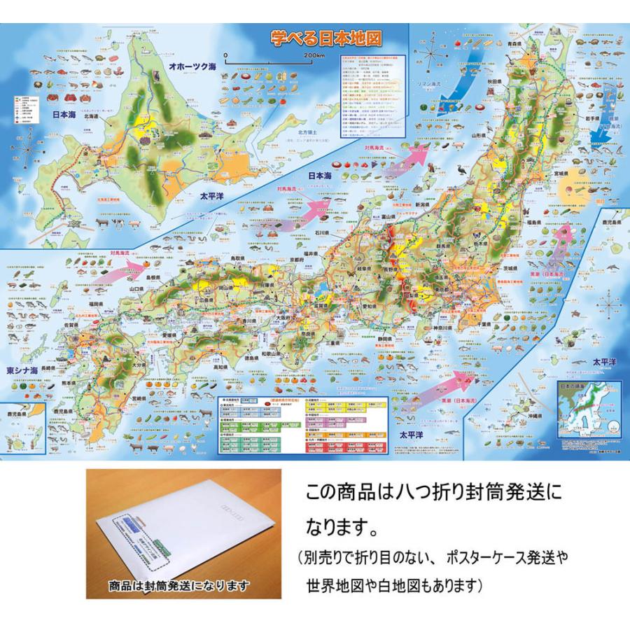 「学べる日本地図 」【封筒発送】 小中学校の教育に合わせた日本地図　５歳〜中学受験に  /オリジナル商品｜rosennzuya2