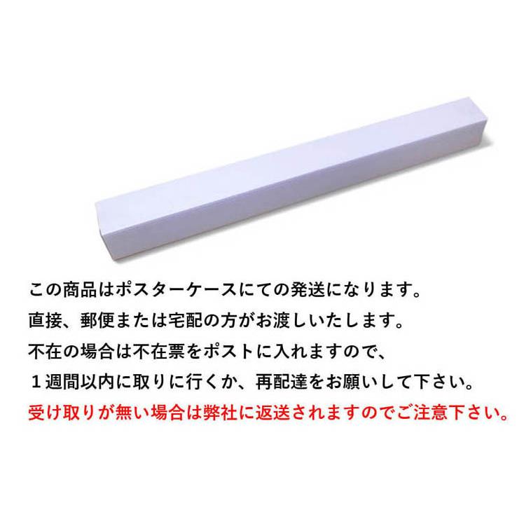 「さんすう でか　２セット　たし算、引き算表」【ポスターケース発送】 A3サイズ　 お風呂ポスター、幼児から（4歳、5歳〜小学生）お受験、学習、知育用 |  | 01