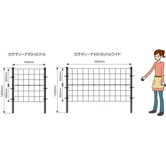 つるバラ用トレリス「カラマリーナVG」W1800×H1800mm　（シルバーベーシック）標準仕様　／つるバラ用フェンス　トレリス 