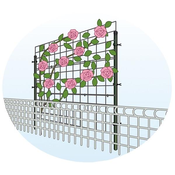 つるバラ用トレリス「カラマリーナVG」W1800×H1800mm　（シルバーベーシック）標準仕様　／つるバラ用フェンス　トレリス 