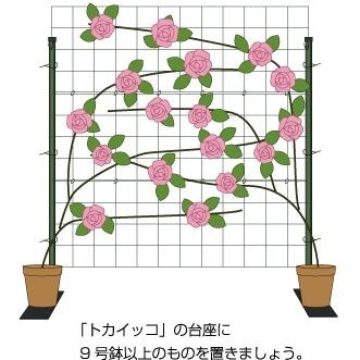 つるバラ用トレリス「カラマリーナVG-G」W1800×H1800mm （グリーン