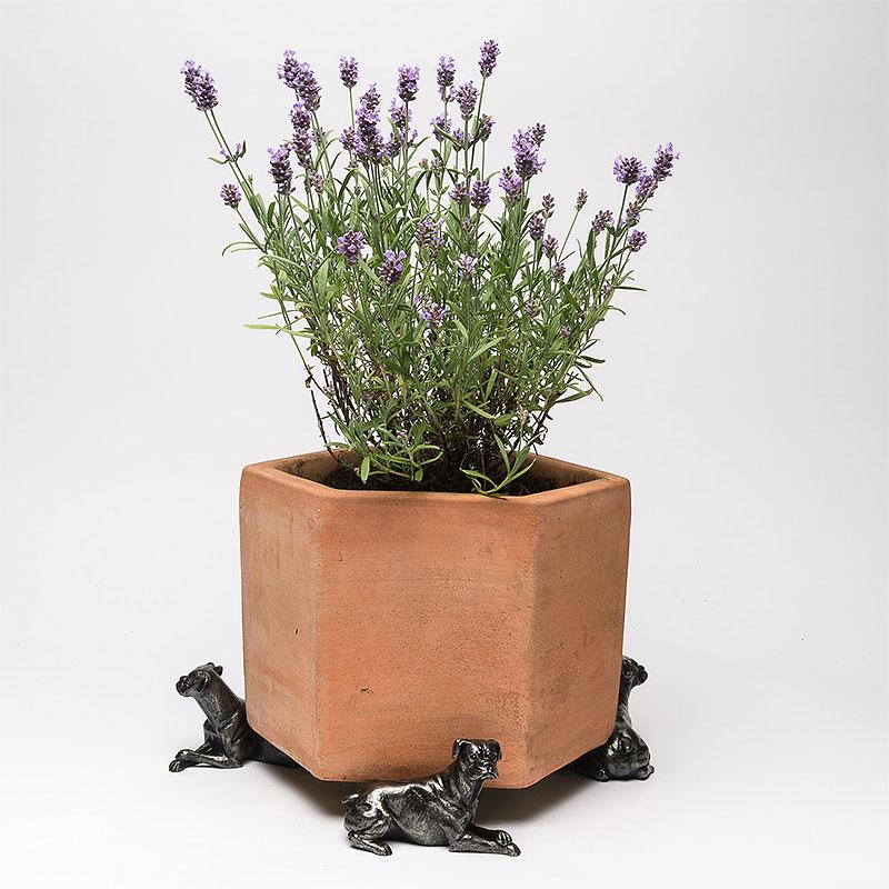 Potty Feet 鉢置き ボクサー犬 Bronze Boxer Dog 00202(メーカー直送) 1111705067バラ専門店