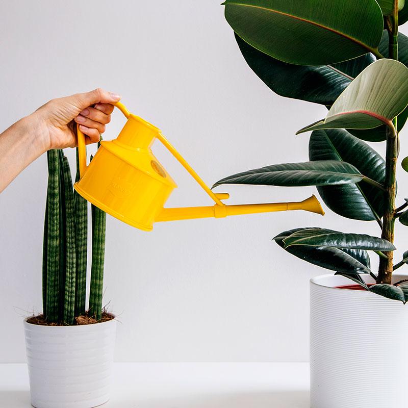 プラスチック製ジョウロ 0.7L HAWS ホーズ Handy Indoor 0.7L