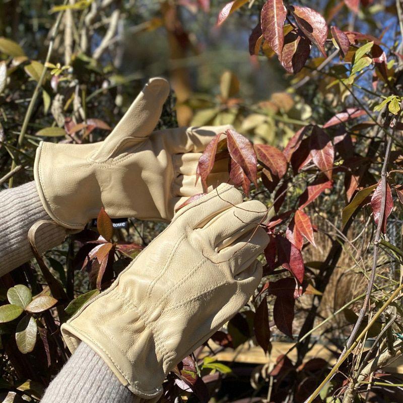 genten×Gloves ゲンテン×グローブス  手袋 8  ブラウン レザー×ウール レディース 　240001129870 genten×Gloves ゲンテン×グローブス 手袋 8 ブラウン レザー×ウール