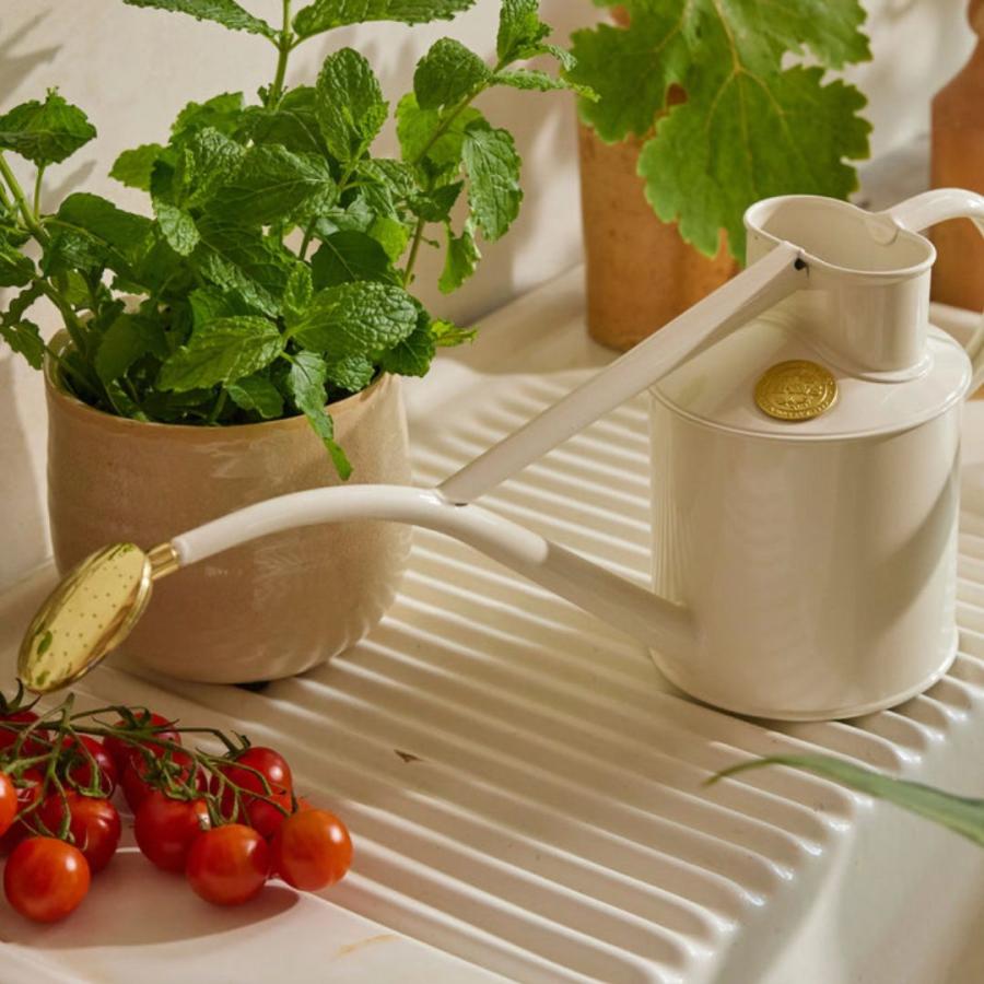HAWS 1L ジョウロ 金属製ジョウロ 1L HAWS ホーズ Metal Indoor (メーカー直送) : バラ
