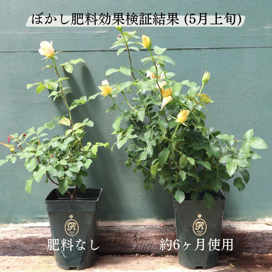 バラ専用 ぼかし肥料 20kg / バラ 有機 肥料 (同梱不可) (あすつく対象
