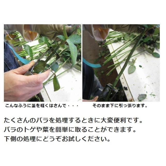 プロ仕様 バラトゲとり（生花用） （ネコポス対応） : バラ専門店 ザ