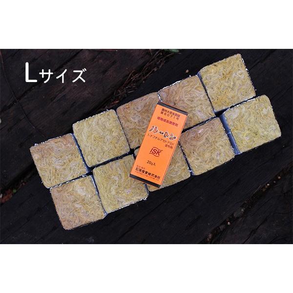 挿し木用ロックウールと発根促進剤ルートンのスターターズセット