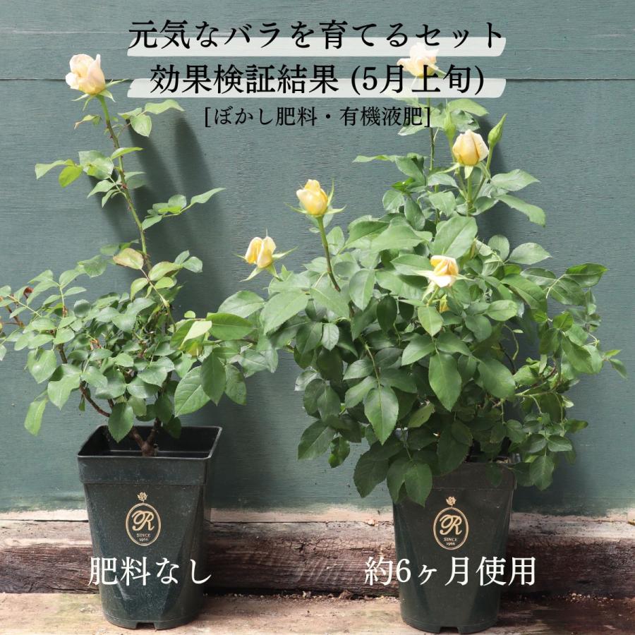夏を元気に乗り切る バラ専用オリジナル園芸資材 3点セット (ぼかし