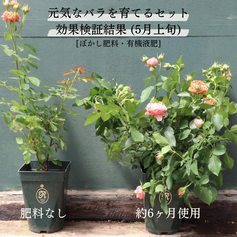 夏を元気に乗り切る バラ専用オリジナル園芸資材 3点セット (ぼかし