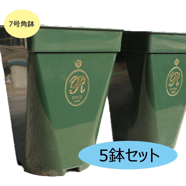 是好鉢展　7 新緑GＷ特売品　5鉢セット THE ROSE SHOP オリジナル7号角鉢 5鉢セット (あすつく対象) : バラ