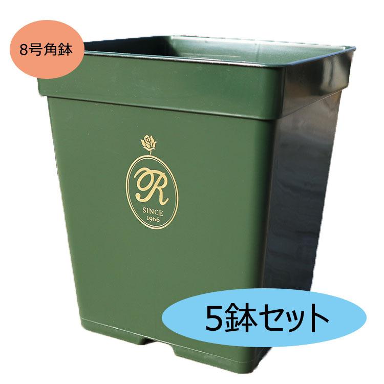 THE ROSE SHOP オリジナル8号角鉢 5鉢セット (あすつく対象) : バラ