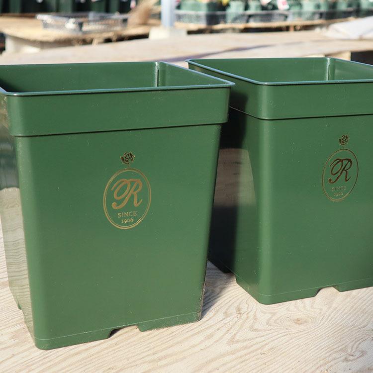 THE ROSE SHOP オリジナル8号角鉢 5鉢セット (あすつく対象) : バラ