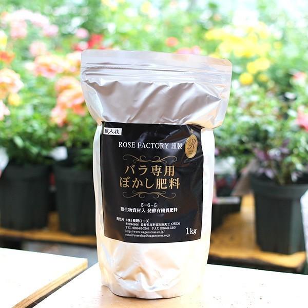 バラ苗 大苗 Rose For You シェドゥーブル 7号専用角鉢入 白系 ぼかし肥料1kg付き 322 001 バラ専門店 ザ ローズショップ 通販 Yahoo ショッピング