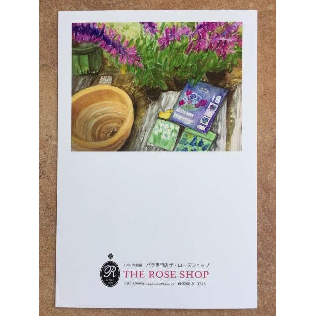 5枚セット 透明水彩画のポストカード 球根の寄せ植え ウォーターカラー Postcard バラ専門店 ザ ローズショップ 通販 Yahoo ショッピング