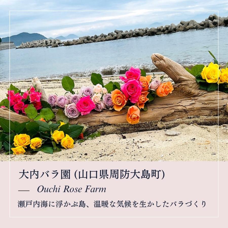赤いバラの花束 30本 (大内バラ園・山口) (産地直送) プレゼント