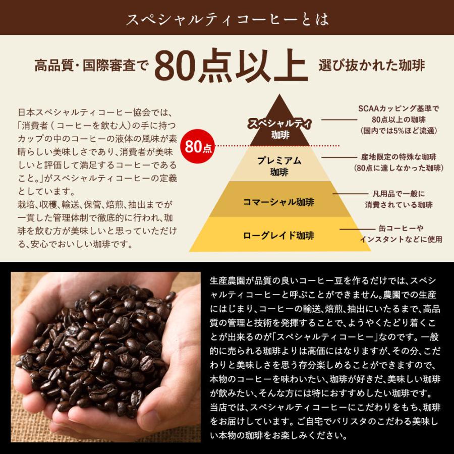 スペシャリティコーヒー コーヒー ギフト 挽きかたが選べる コロンビア サンタンデール ラ プラデーラ農園 カフェインレス 500g コーヒー豆 コーヒー粉 豆のまま 春の新作続々