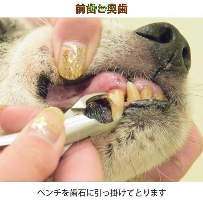 包括的 植生 なす 歯石 取り ペンチ 犬 Hitomikirari Jp
