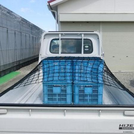 ゴム紐 荷台 軽トラゴムバンド 軽トラ荷台ゴムバンド 軽トラック 荷台ゴム 多目的ゴムネット 約1 100cm 樹脂フック 6個付き mj おしゃれ雑貨 取り寄せ Rosey Rose 通販 Yahoo ショッピング