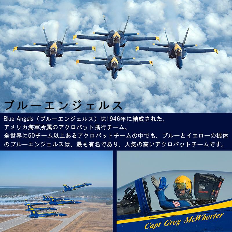 シチズン プロマスター PROMASTER SKYシリーズ Blue Angels ブルーエンジェルスモデル 流通限定 エコドライブ電波 カーフ革バンド CITIZEN 正規品 AT8020-03L｜roshie｜10