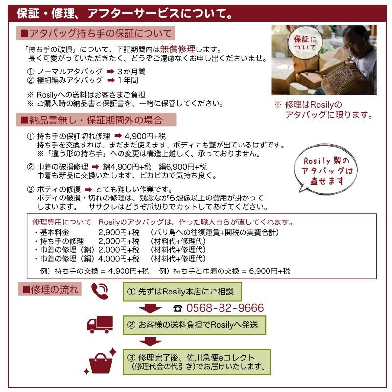 アタバッグ かごバッグ 極細 ボックス バッグ かご 手編み バリ島 天然素材 伝統工芸 Rosily PNC161の画像