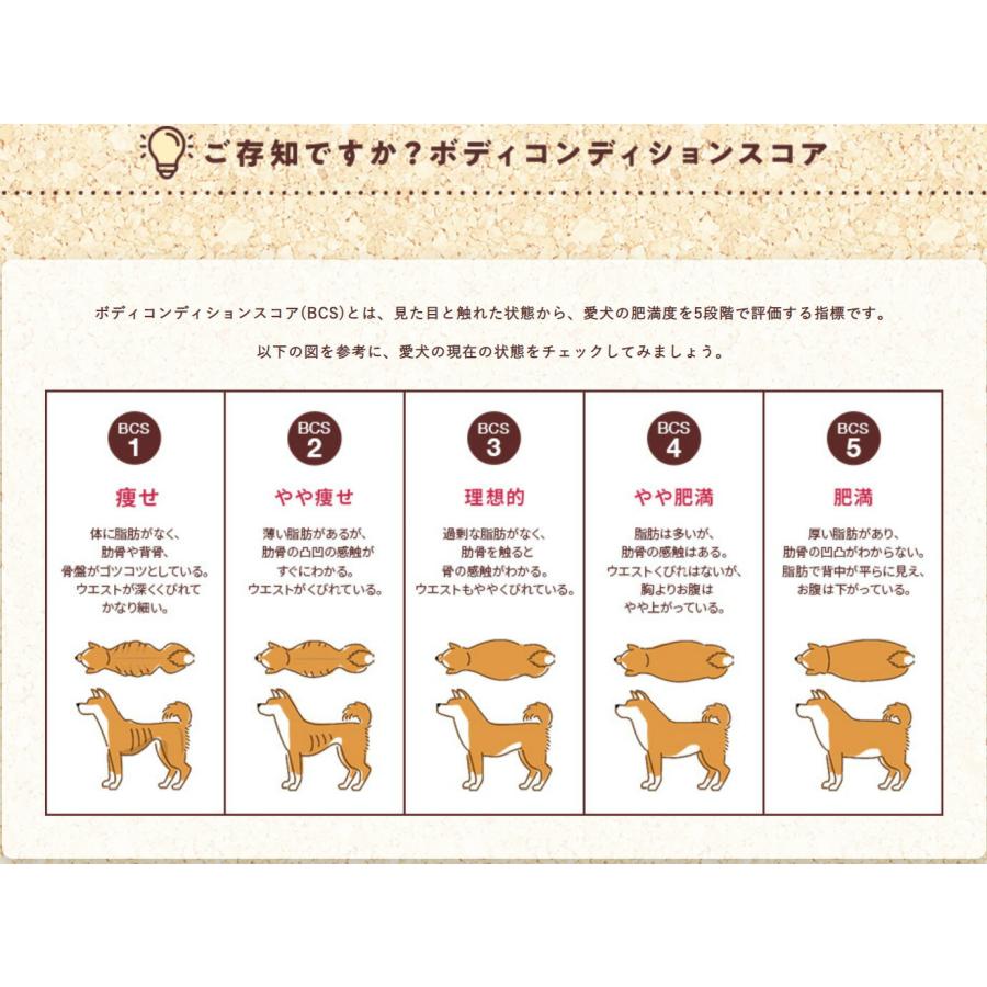 フィジカライフ シニア犬用 チキン＆大豆入り 800g ドッグフード 送料無料 賞味期限 2025年6月30日｜rossa｜03