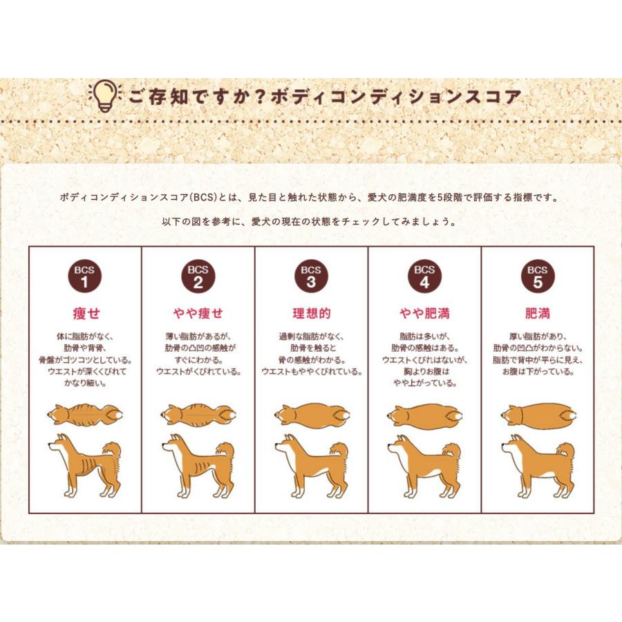 フィジカライフ シニア犬用 チキン＆大豆入り 2kg ドッグフード 送料無料 パッケージ変更あり | unicharm | 02