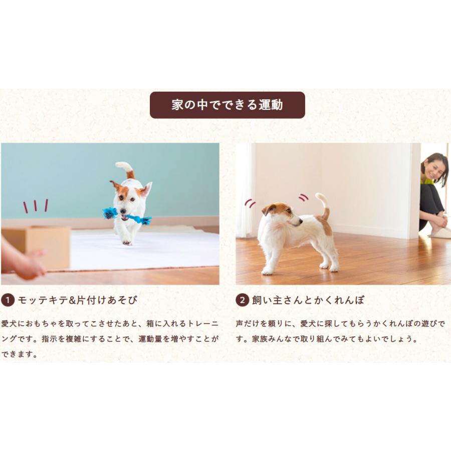 フィジカライフ シニア犬用 チキン＆大豆入り 2kg ドッグフード 送料無料 パッケージ変更あり | unicharm | 03