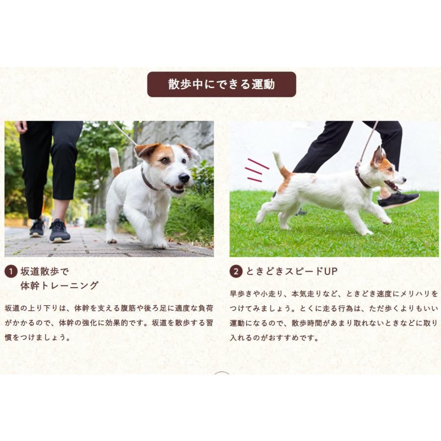 フィジカライフ シニア犬用 チキン＆大豆入り 2kg ドッグフード 送料無料 パッケージ変更あり | unicharm | 04