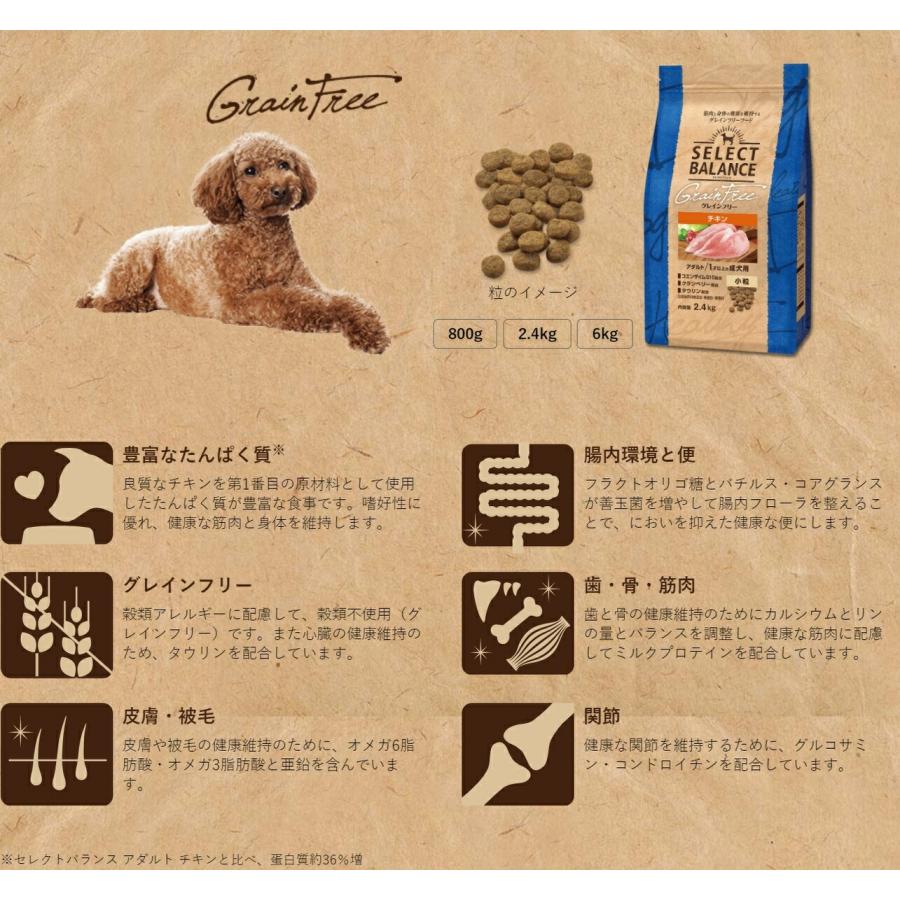 セレクトバランス グレインフリー チキン アダルト 小粒 成犬 2.4kg ドッグフード 送料無料 | ベッツ・チョイス・ジャパン | 01
