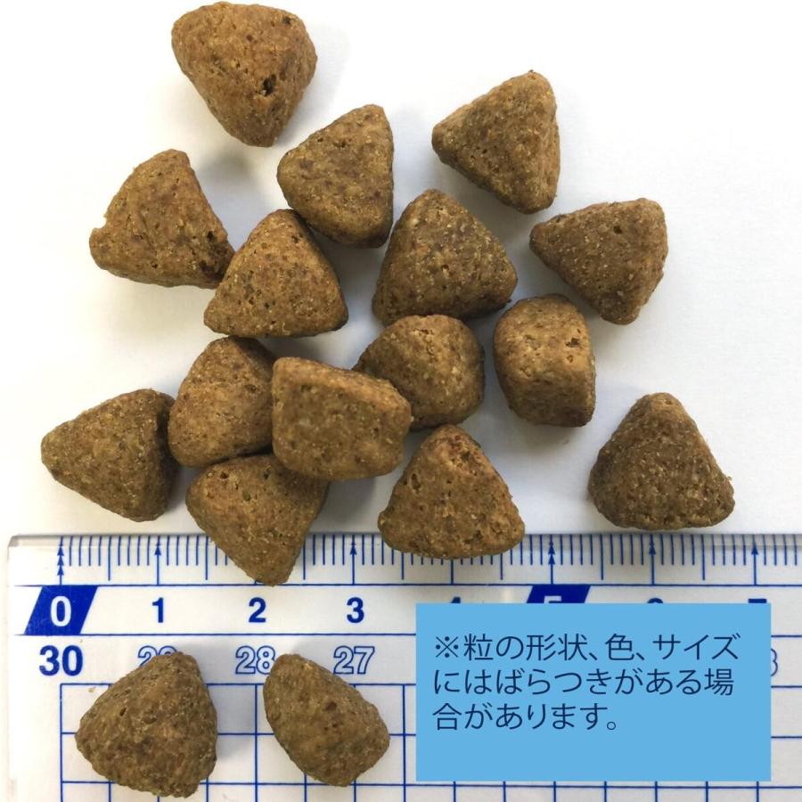 ウェルネス シンプル 全犬種用 成犬用 骨抜き七面鳥＆じゃがいも 800g ドッグフード 送料無料 |  | 01