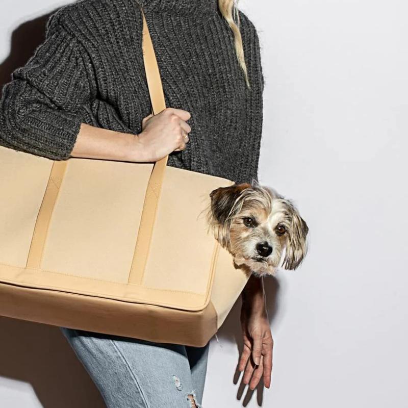 ペットキャリーバック ペットリュック M ペットバック 犬 猫 キャリーバッグ ショルダーバッグ イエロー ペット用リュック 犬用 猫用_2
