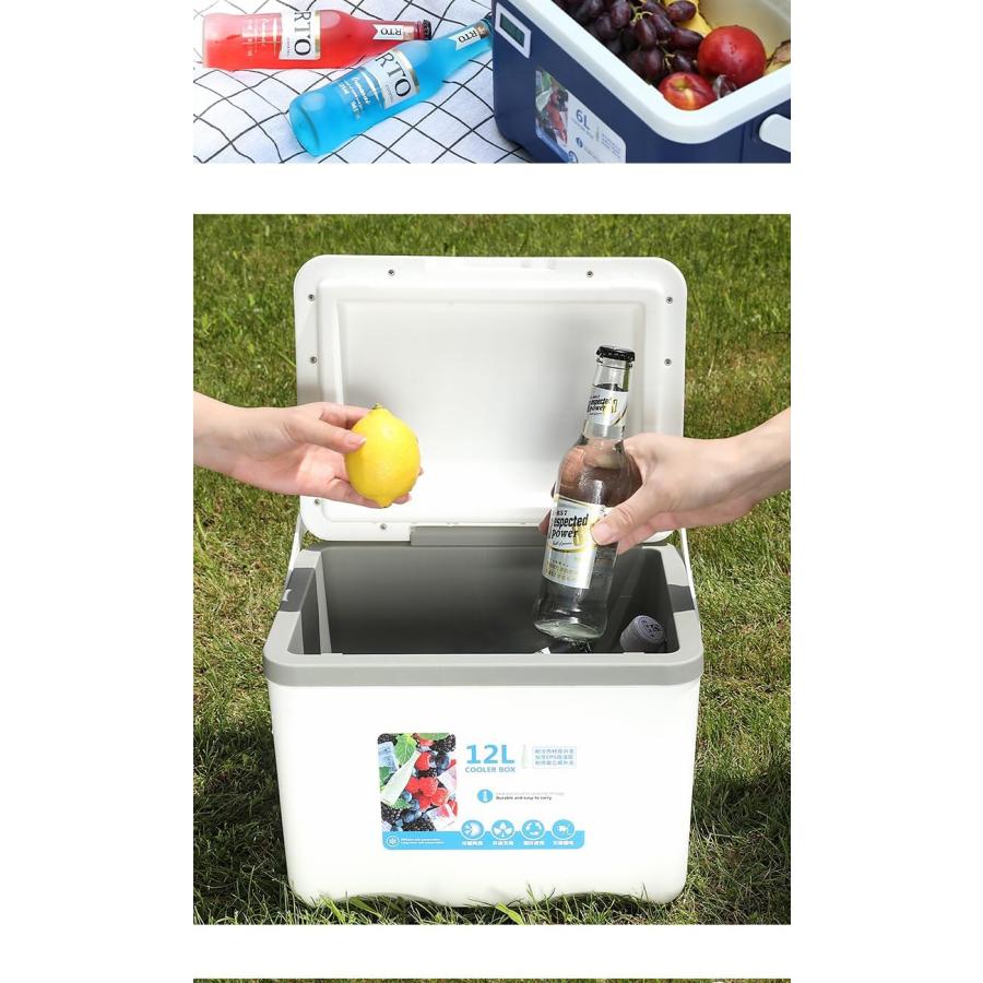 クーラーボックス 小型 軽量 ハード 温度計付き冷蔵庫 6 12 20