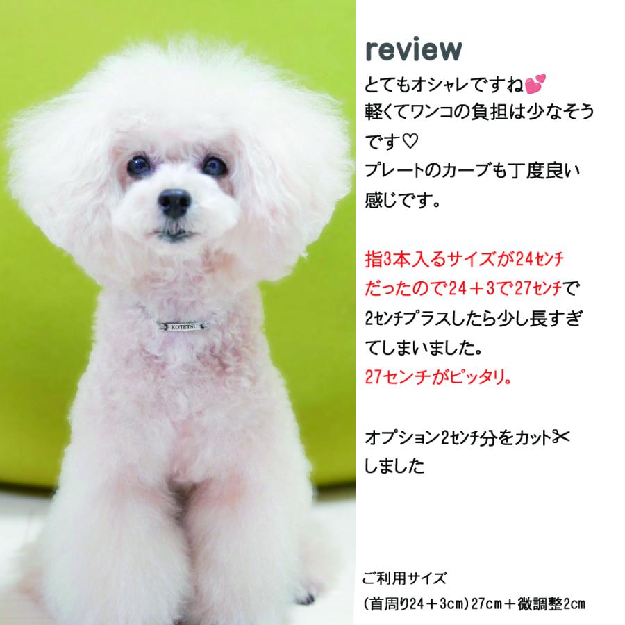 爆買 犬 迷子札 ネックレス ドッグネックレス 超軽量2.3g ネーム