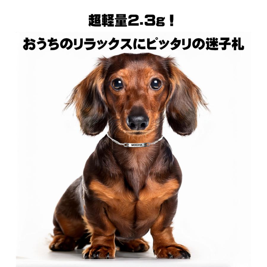 爆買 犬 迷子札 ネックレス ドッグネックレス 超軽量2.3g ネーム