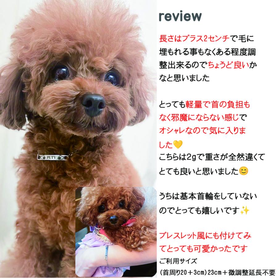 爆買 犬 迷子札 ネックレス ドッグネックレス 超軽量2.3g ネーム