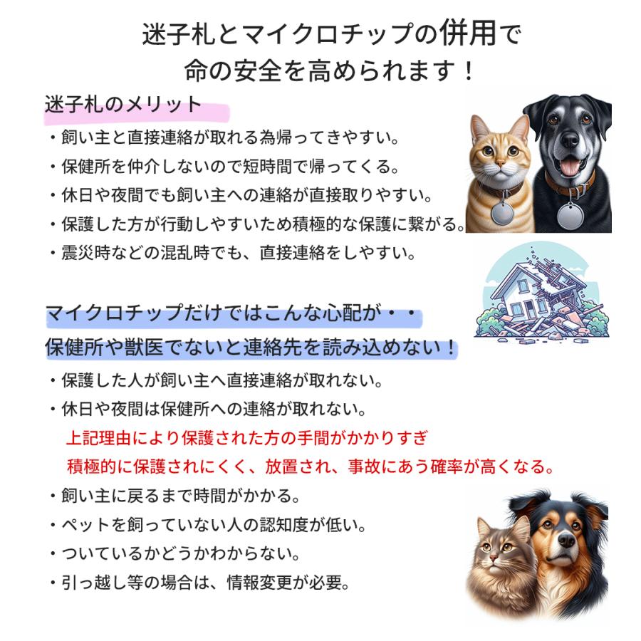 迷子札 犬 猫 高齢者 老人 子供 両面 ネームプレート ネームタグ ドッグタグ ステンレス おしゃれな オーダー 名入れ 軽量 軽い 幼稚園｜rossoeblu｜14