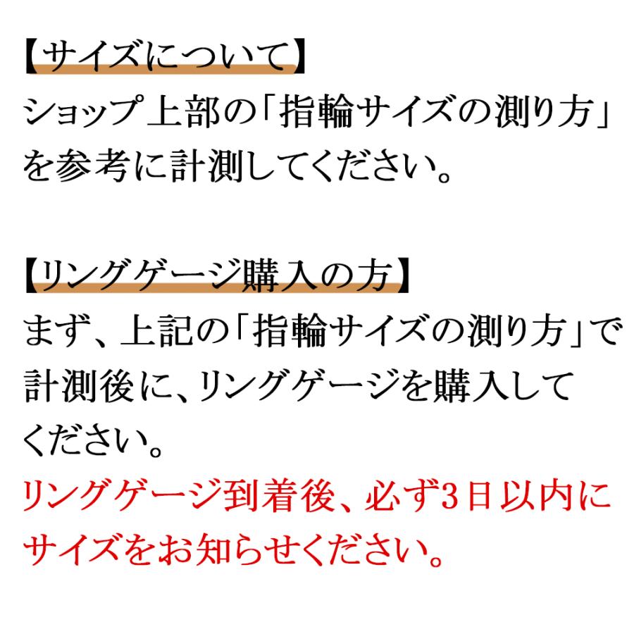 【当店での指輪購入者様のリング同時購入限定 メール便送料無料】指輪のサイズが分からない方へ。リングゲージ |  | 05