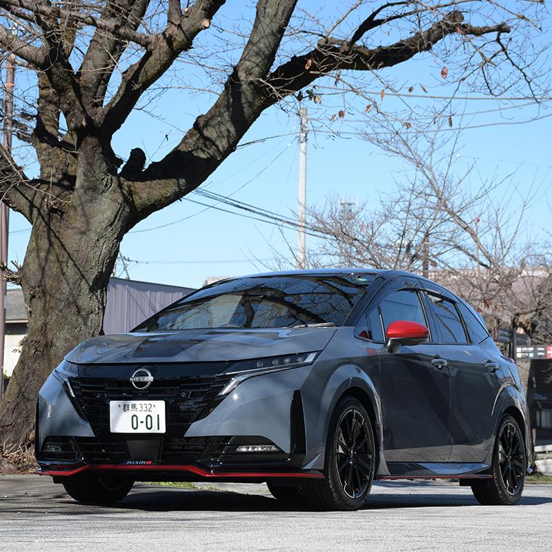 ROSSO MODELLO（ロッソモデロ） ナンバーステー Virile 角度調整可能