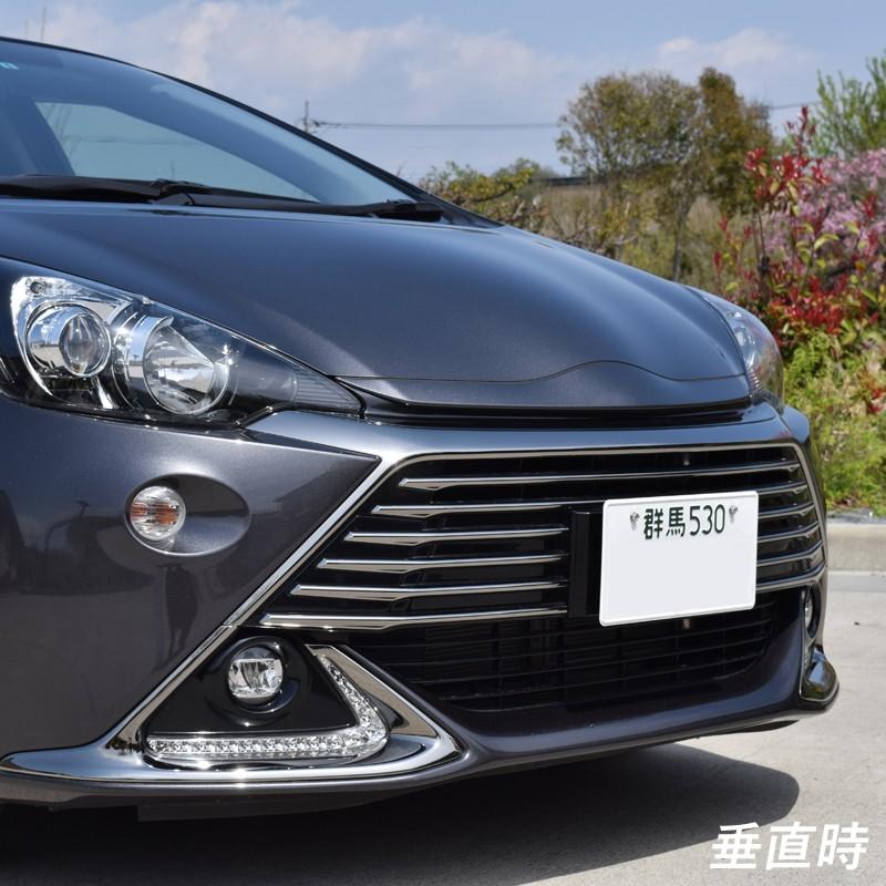 ROSSO MODELLO（ロッソモデロ） ナンバーステー Virile アクア G's