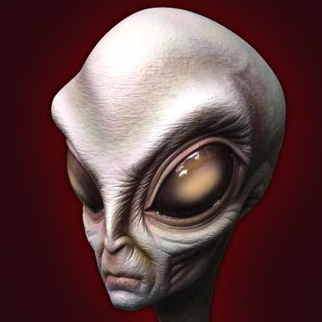 The Grey Alienキット【取り寄せ】 : ROSWELL JAPAN - 通販 - Yahoo 